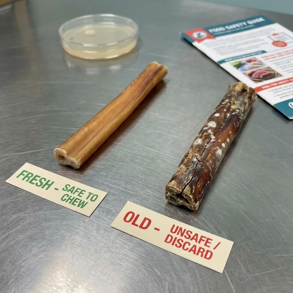 Do Bully Sticks Go Bad? A Veterinary Guide to Shelf Life and Safety