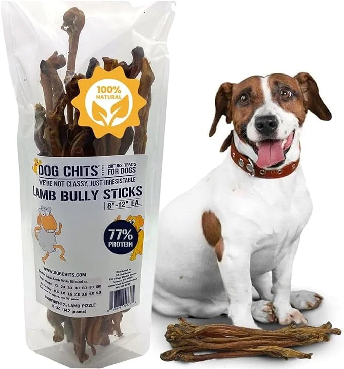 Dog Chits Bully Sticks for Dogs & Puppies - 100% Lamb Pizzle, High Protein, Low Fat Dog Chew Sticks - Baked, Easier to Chew – Long-Lasting, Keep Dogs Engaged & Happy - Made in USA - 8 inch, 12 Pack
